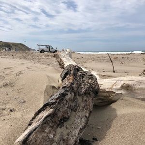 Meet your Posher, Im kyoung